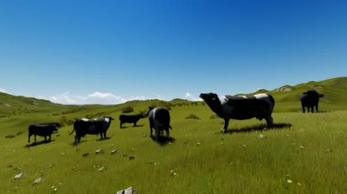 İnekler otlayan 3D animasyon