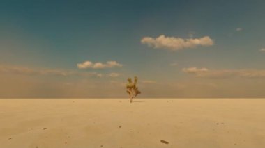 Çöl ve kaktüs ağacı.