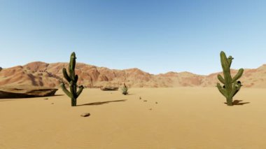 Çöl Yolu 3D Canlandırması