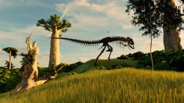 Dinozor İskeletleri 3D animasyon