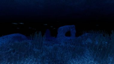 Mercan resifli su altı manzarası, deniz manzarası