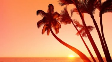 Sunset Palm Island 3 boyutlu animasyon