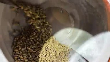 Sanayi Pistachio Kızartma Makinesi Operasyonu