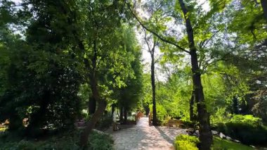 Şehir parkının güzel manzarası