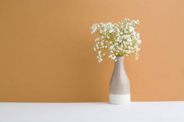 Yumuşak ev dekorasyonu, beyaz vazo bej bir duvarda beyaz küçük çiçekler.