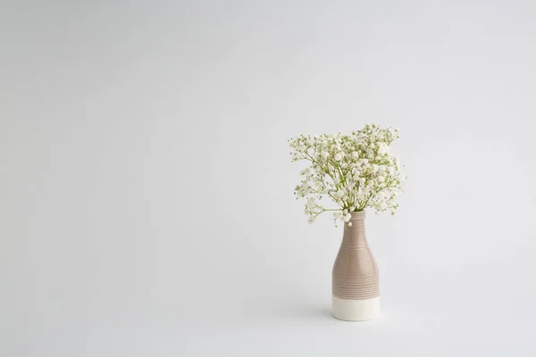 Hvide Blomster Hvid Baggrund Blød Boligindretning Hvide Blomster Vase - Stock-foto