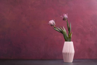 Pembe arka planda bir vazoda pembe ve mor laleler buketi, kadınlar için ilkbahar çiçekleri, kopyalama alanı