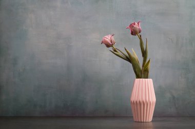 Fresh colorful tulips flowers in vase on rustic green wall Place for your text,copy space