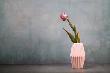 Fresh colorful tulips flowers in vase on rustic green wall Place for your text,copy space