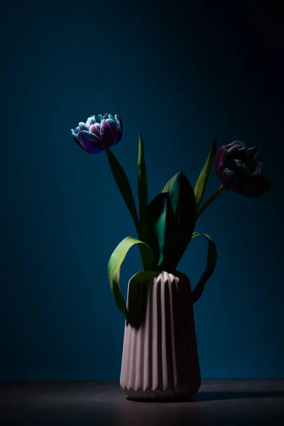 Beautiful blue and purple tulips in ceramic vase on blue background.low light