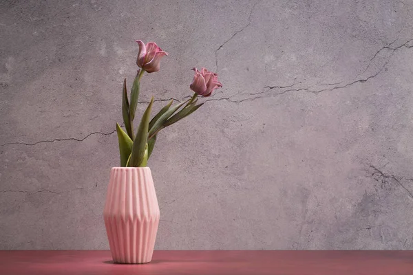 Pink Tulipaner Vase Pink Table Bag Cement Wall Kopi Plads - Stock-foto