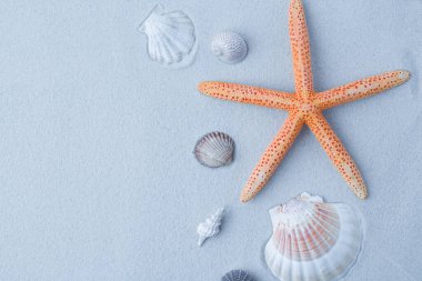 Kumdaki denizyıldızı. Açık kahverengi, krema ve mavi. soyut