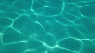 soyut arkaplan animasyonu: deniz, yüzme havuzu, su (4K, döngü)