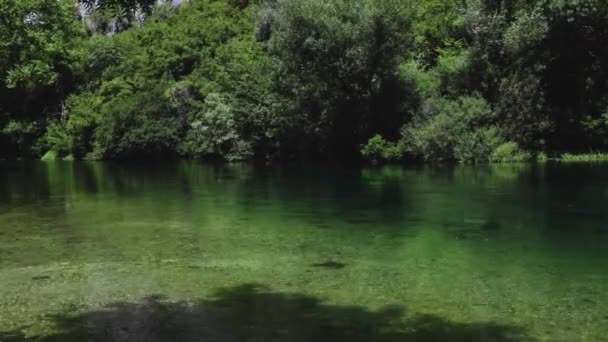 Água Rio Córrego Claro Que Flui Floresta Profunda Câmera Lenta — Vídeo de Stock
