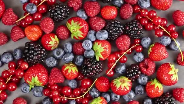 Φράουλες Βατόμουρα Μύρτιλλα — Αρχείο Βίντεο