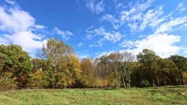 Renkli bir sonbahar ormanında akan beyaz bulutlar..