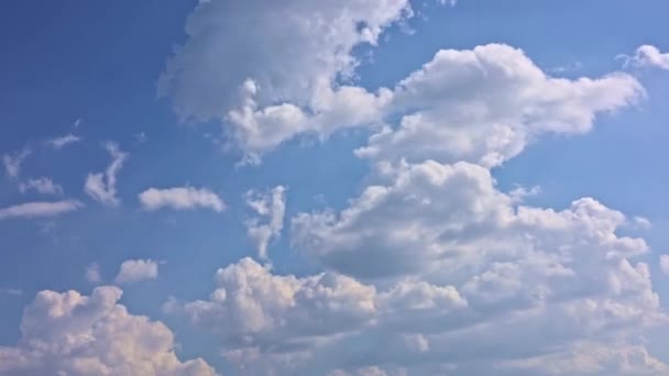Cumulus Cloud Cloudscape Timelapse Sommar Blå Himmel Tid Förfaller Vita — Stockvideo