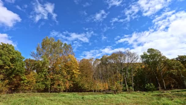 Courir Des Nuages Blancs Sur Une Forêt Automne Colorée — Video