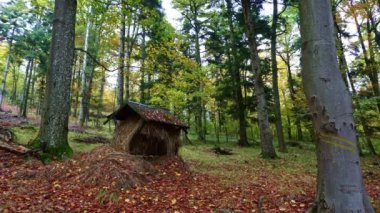 Vahşi geyikler ve yaban domuzları için vahşi yaşam besleyicisi