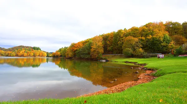 落叶林倒映在湖水静谧的表面 美丽的秋天树叶在水面上的色彩 免版税图库照片