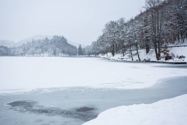 Trees in the snow. Winter landscape. Geopark in Europe. Frozen lake. clipart