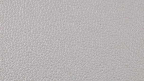 White Leather Background Texture Slow Camera Motion Macro High Detailed — Stock Video