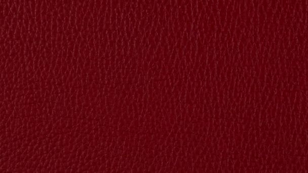 Red Leather Background Texture Slow Camera Motion Macro High Detailed — Stock Video