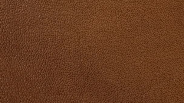 Brownleather Background Texture Slow Camera Motion Macro High Detailed Video — Stock Video