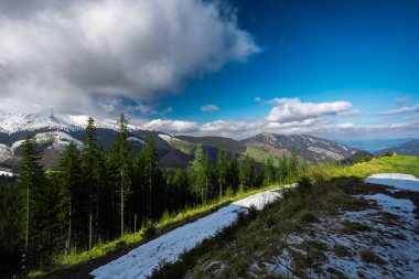 Jasna Slovakya arka plan için bahar manzarası