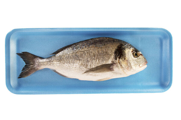 Gilthead raw fish in a styrofoam container at the supermarket. Isolated on white background.