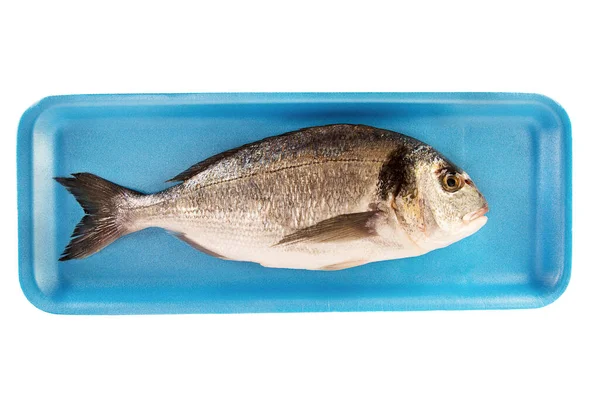 在超市的发泡胶容器里 吉尔特的生鱼 在白色背景上隔离 图库照片