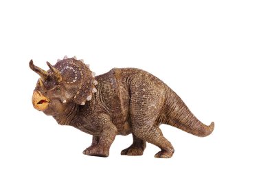 İzole edilmiş Triceratops dinozoru. Beyaz arka planda dinozor oyuncağı. Triceratops otobur yiyen büyük bir dinozordu..