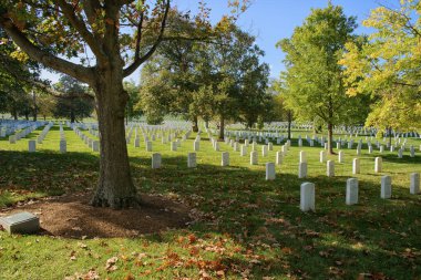 Arlington, Virginia - ABD - 2023-1106 - Virginia 'daki Arlington Ulusal Mezarlığı güneşli bir sonbahar gününde Amerikan askerlerini ağaçların altında renkli yapraklarla sıralanmış mezar taşlarıyla onurlandıran mezar taşları.