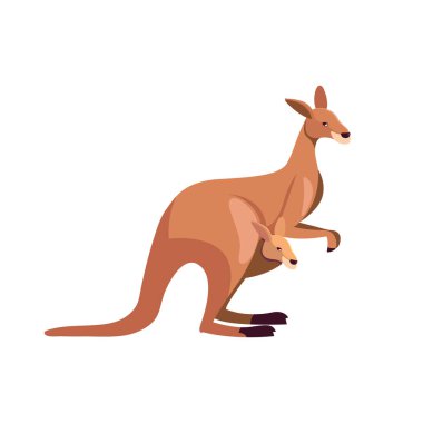 Kangaroo animal mother with child in pocket cute cartoon. Vector illustration