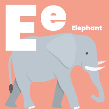 Cute children ABC alphabet flashcard words with the letter E for kids learning English vocabulary. Elephant. Vector illustration
