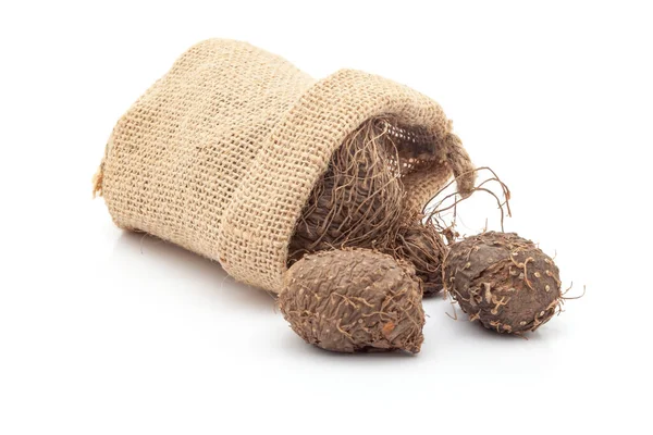  Kuru Varahikanda (Dioscorea bulbifera) meyvesinin yakın çekimi, beyaz arkaplan üzerine bir döşeme jüt torbasından dökülür.