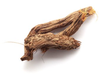 Beyaz arka planda bulunan Sugandh Mantri 'nin (Homalomena aromatica) yakın çekimi. Üst görünüm