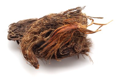 Close-up of Dry Jatamansi (Nardostachys jatamansi) roots, isolated on a white background. Front view clipart