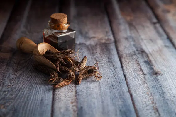 stock image Dry organic Jatamansi (Nardostachys jatamansi) roots, in a wooden scoop along with its essential oil.