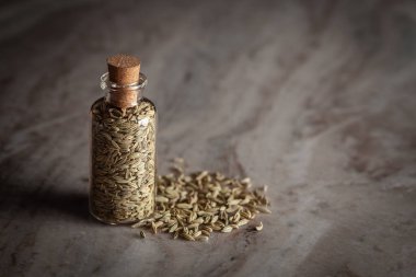 Badi saunf, organik Fennel Tohumları (Foeniculum vulgare) ile dolu küçük bir cam şişedir..