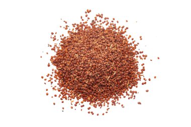 Beyaz arka planda bulunan bir yığın kuru organik uyku bitkisi (Mimosa pudica) tohumu. Üst görünüm