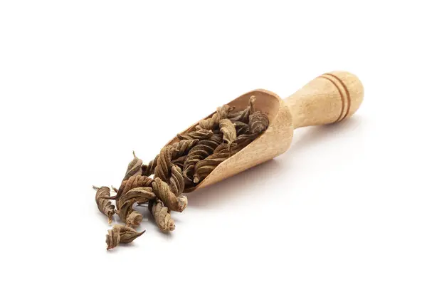 stock image Front view of a wooden scoop filled with Organic Marod Phali (Helicteres Isora) fruits. Isolated on a white background.