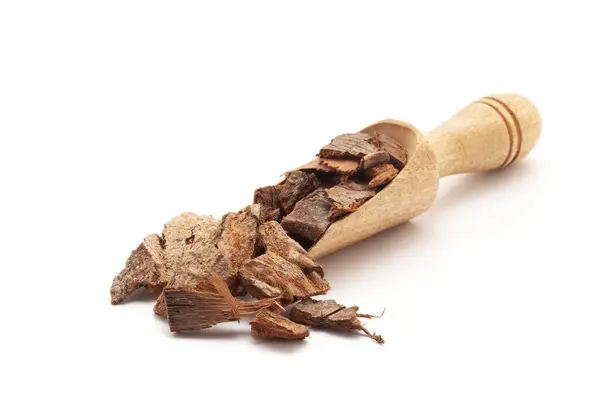 stock image Front view of a wooden scoop filled with Organic Banyan or Banian (Ficus benghalensis) bark. Isolated on a white background.