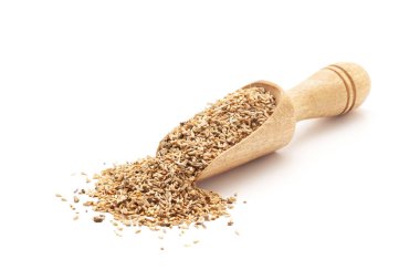 Organik Chicory veya Kasni (Cichorium intybus) tohumlarıyla dolu ahşap bir kepçenin ön görüntüsü. Beyaz bir arkaplanda izole edilmiş.