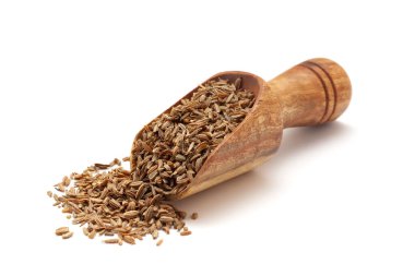 Kuru organik havuç (Daucus carota) tohumlarıyla dolu tahta bir kepçenin önü. Beyaz bir arkaplanda izole edilmiş.
