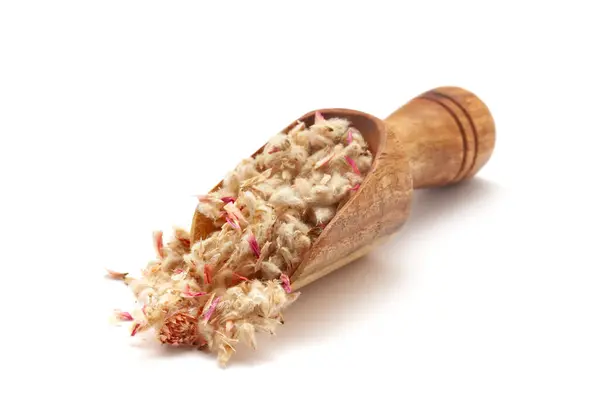 stock image Front view of a wooden scoop filled with dry Organic Gomphrena  (Gomphrena globosa) seeds. Isolated on a white background.