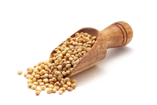 stock image Front view of a wooden scoop filled with dry Organic Jowar or Sorghum (Sorghum bicolor) seeds. Isolated on a white background.