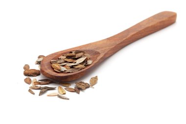 Organik zinya (Zinnia elegans) tohumlarıyla dolu bir tahta kaşığın ön görüntüsü. Beyaz bir arkaplanda izole edilmiş.