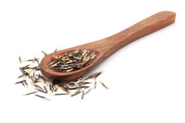 Organik Orange Marigold (Tagetes patula) tohumlarıyla dolu bir tahta kaşığın önü. Beyaz bir arkaplanda izole edilmiş.