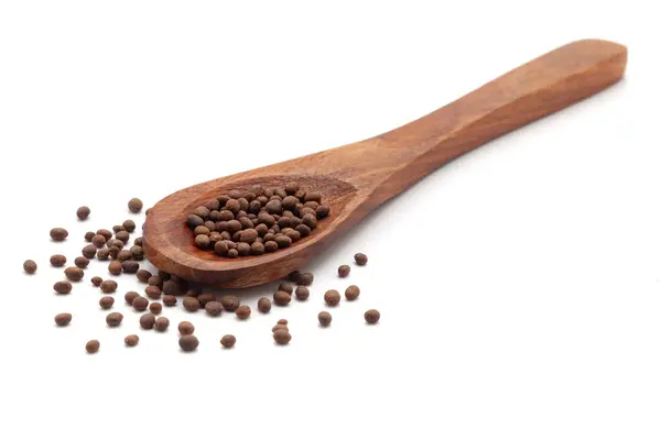 stock image Front view of a wooden spoon filled with Organic Balsam (Impatiens balsamina) seeds. Isolated on a white background.